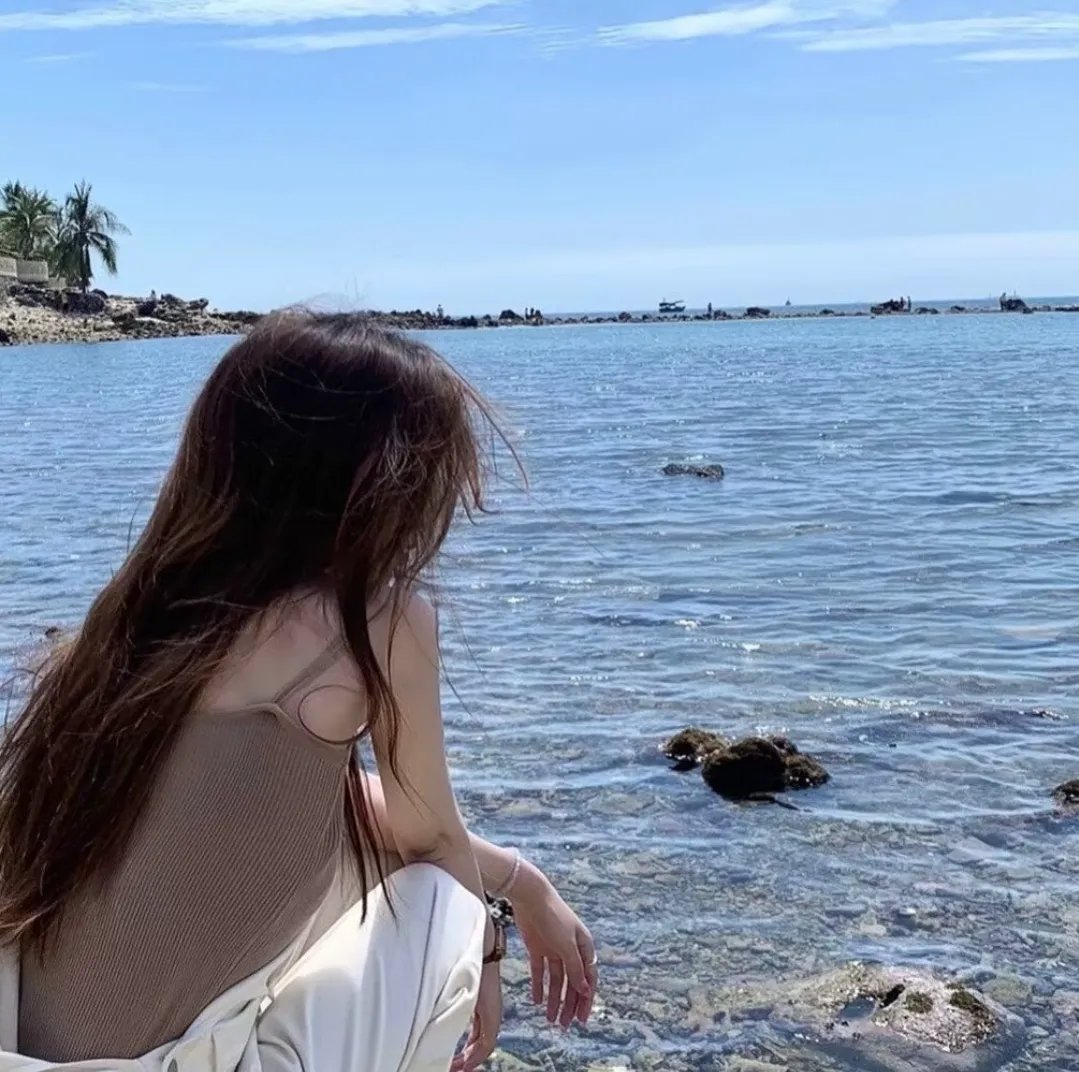 小岛2019